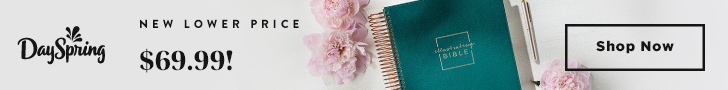 DaySpring Illustrating Bibles Relaunch